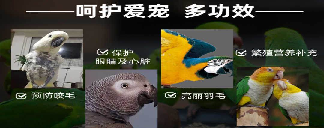 640.png