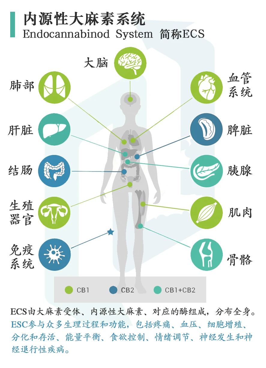 微信图片_20240823092439.jpg